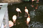 DSC_9172.JPG